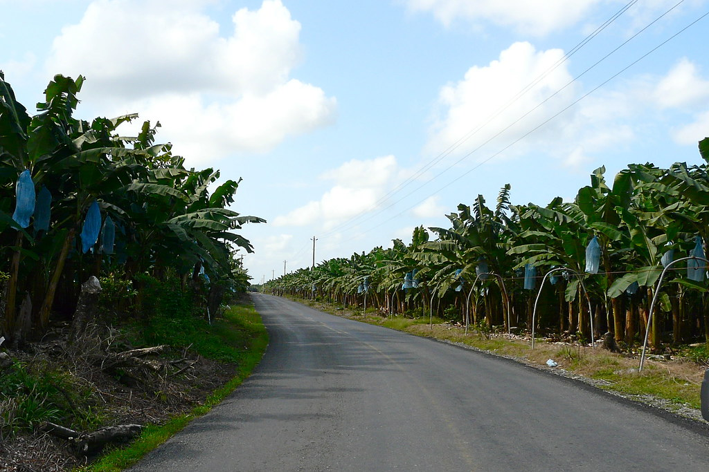 Changuinola, Bocas del Toro
