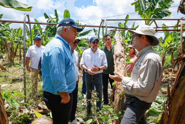 Instalarán Mesa Técnica para reactivar la industria bananera en Bocas del Toro tras el refrendo del acuerdo entre el Estado y Chiquita Panamá
