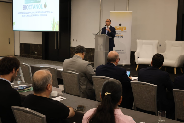 Gobierno anuncia licitaciones eléctricas a largo plazo