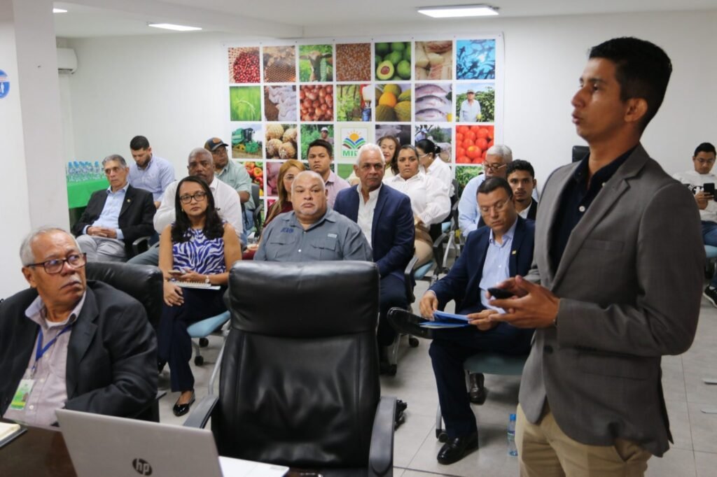 Maíz más rentable: ensayo técnico abre nueva ruta agrícola - Panamá y Centroamérica