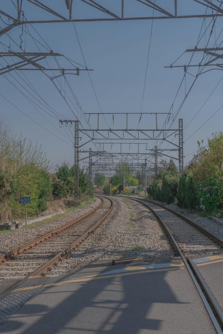 Buscan afinar la viabilidad del tren a David con nueva consultoría - Panamá y Centroamérica