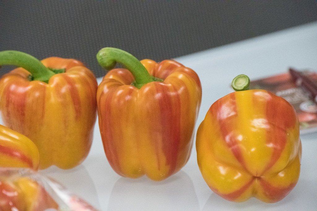 Tres pimientos morrones de color amarillo con rayas verticales de color naranja rojizo sobre una superficie blanca.