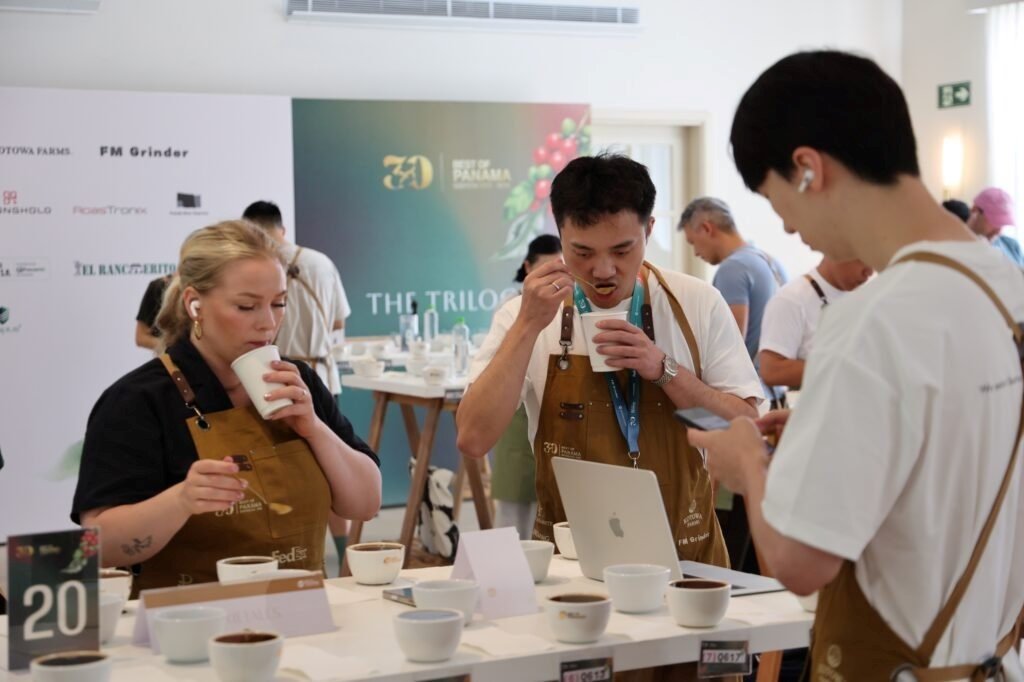 Varietales panameños desafían el reinado del Geisha y alcanzan puntajes históricos en el Best of Panama 2026 - Panamá y Centroamérica