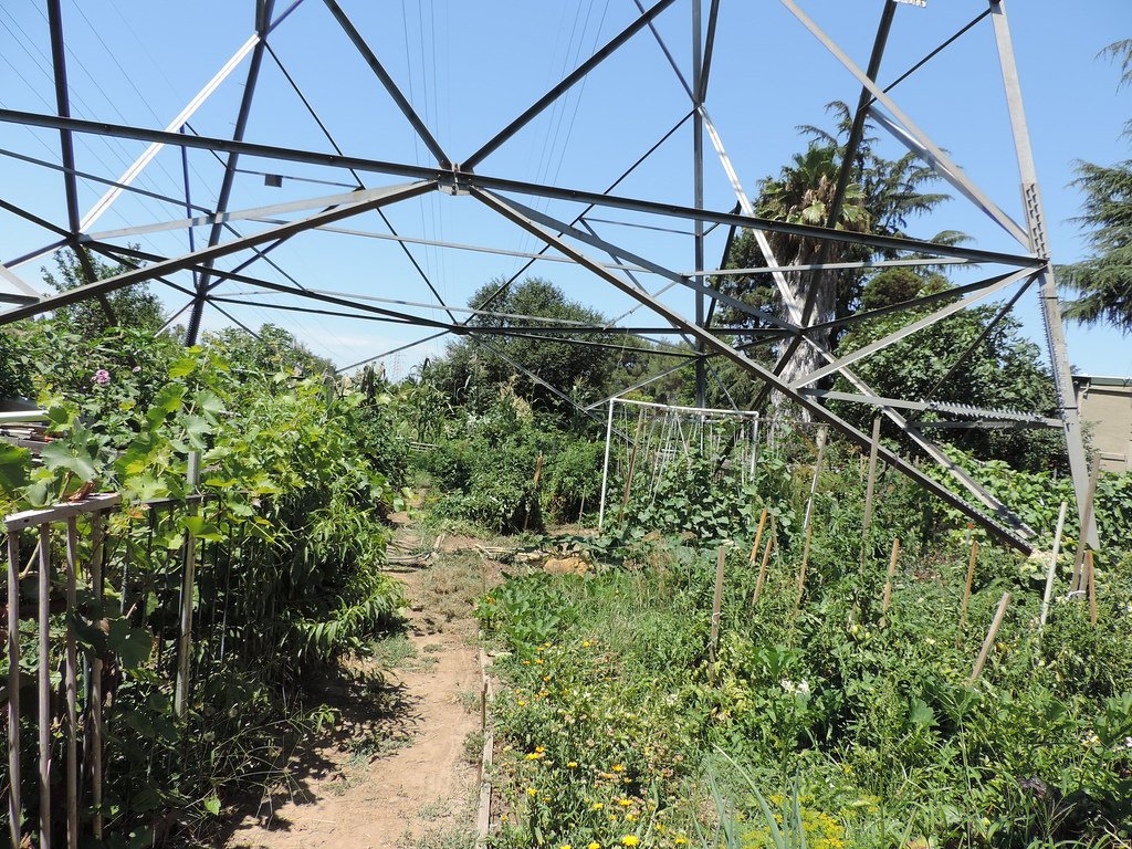 Un huerto comunitario con diversas plantas y senderos de tierra situado directamente debajo de una gran torre de transmisión eléctrica metálica.