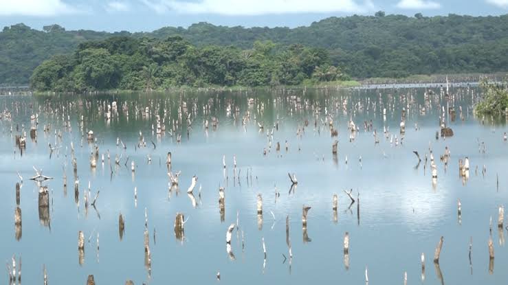 El Niño no necesita otra comisión: necesita una estrategia de Estado - Panamá y Centroamérica