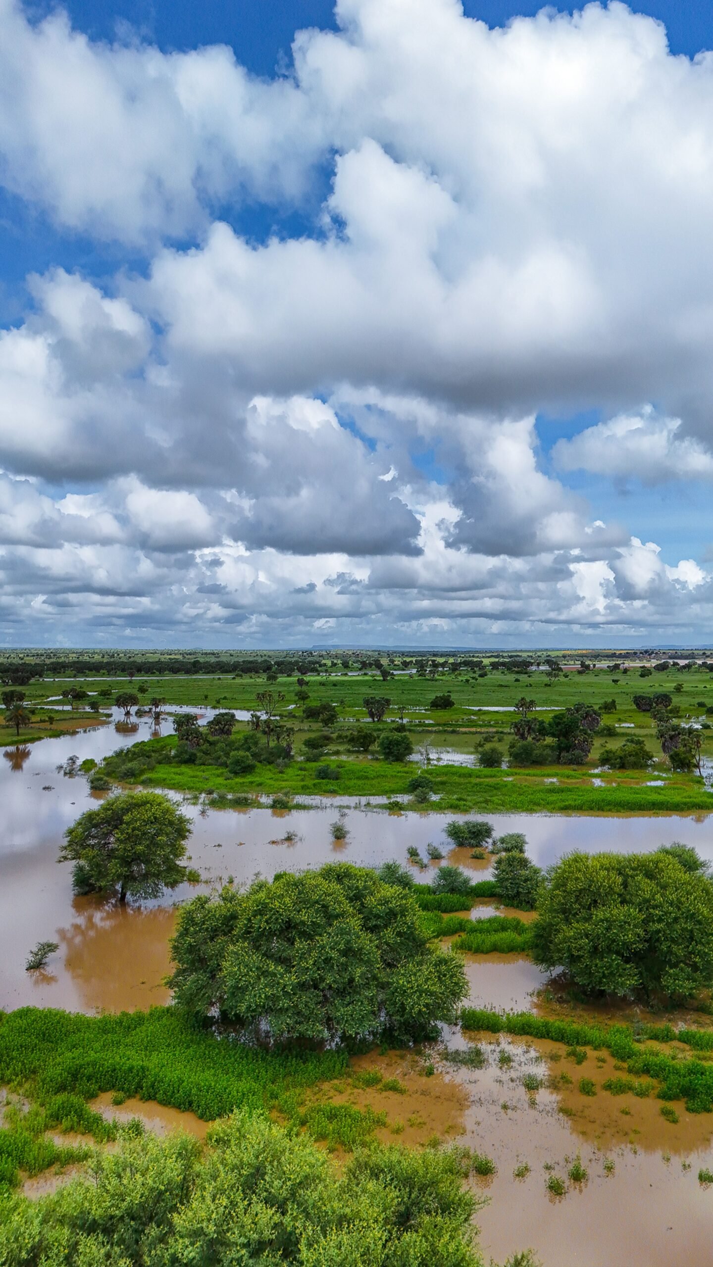 El Niño se intensifica y Panamá enfrenta una sequía que ya amenaza agua, energía y cultivos - Panamá y Centroamérica