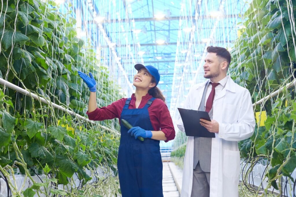 Especialistas revisan un cultivo en un invernadero