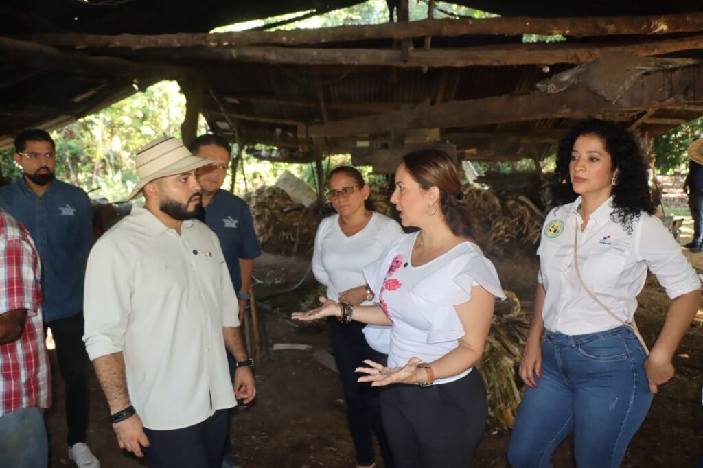 Cooperativas: crecer no basta, también hay que modernizarse - Panamá y Centroamérica