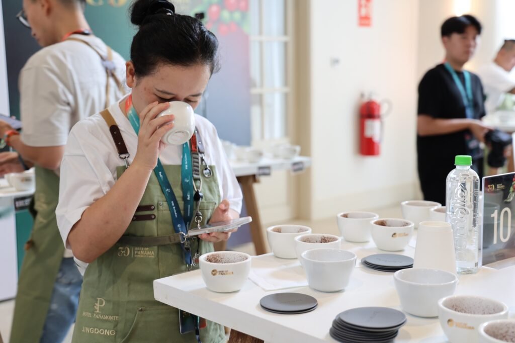 Panamá convierte su café de alta calidad en una vitrina mundial para atraer turismo y negocios - Panamá y Centroamérica