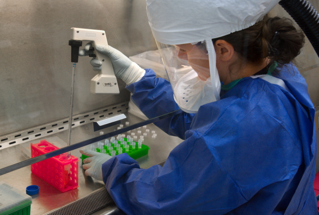Investigadora utiliza una pipeta en un laboratorio de los CDC en 2013; imagen ilustrativa sin relación con Siberia.
