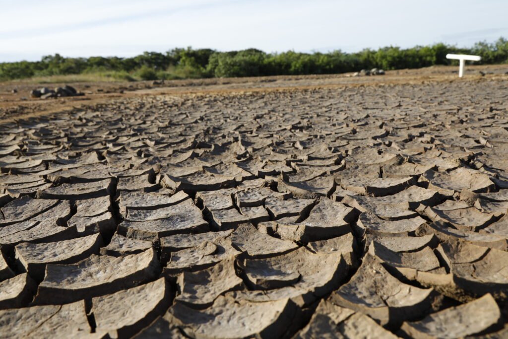 Panamá enfrenta el reto climático: reducir emisiones y prepararse para sequías e inundaciones - Panamá y Centroamérica