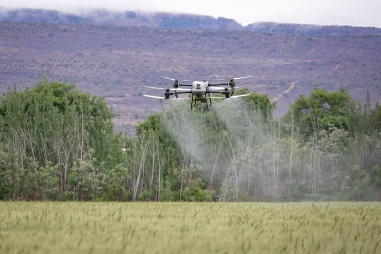 Regulan uso de drones agrícolas y ofrecen incentivos fiscales para modernizar el campo - Panamá y Centroamérica