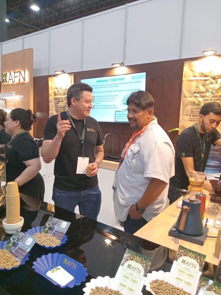 Nicaragua lleva al mundo sus cafés de especialidad: el maragogipe y un robusta que busca conquistar nuevas tazas - Panamá y Centroamérica