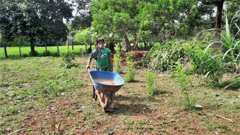 Mujer con una carretilla en un terreno agrícola de Panamá.