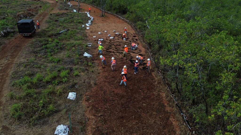 Vista aérea de trabajadores en un terreno, en una fotografía del archivo oficial de Puerto Barú