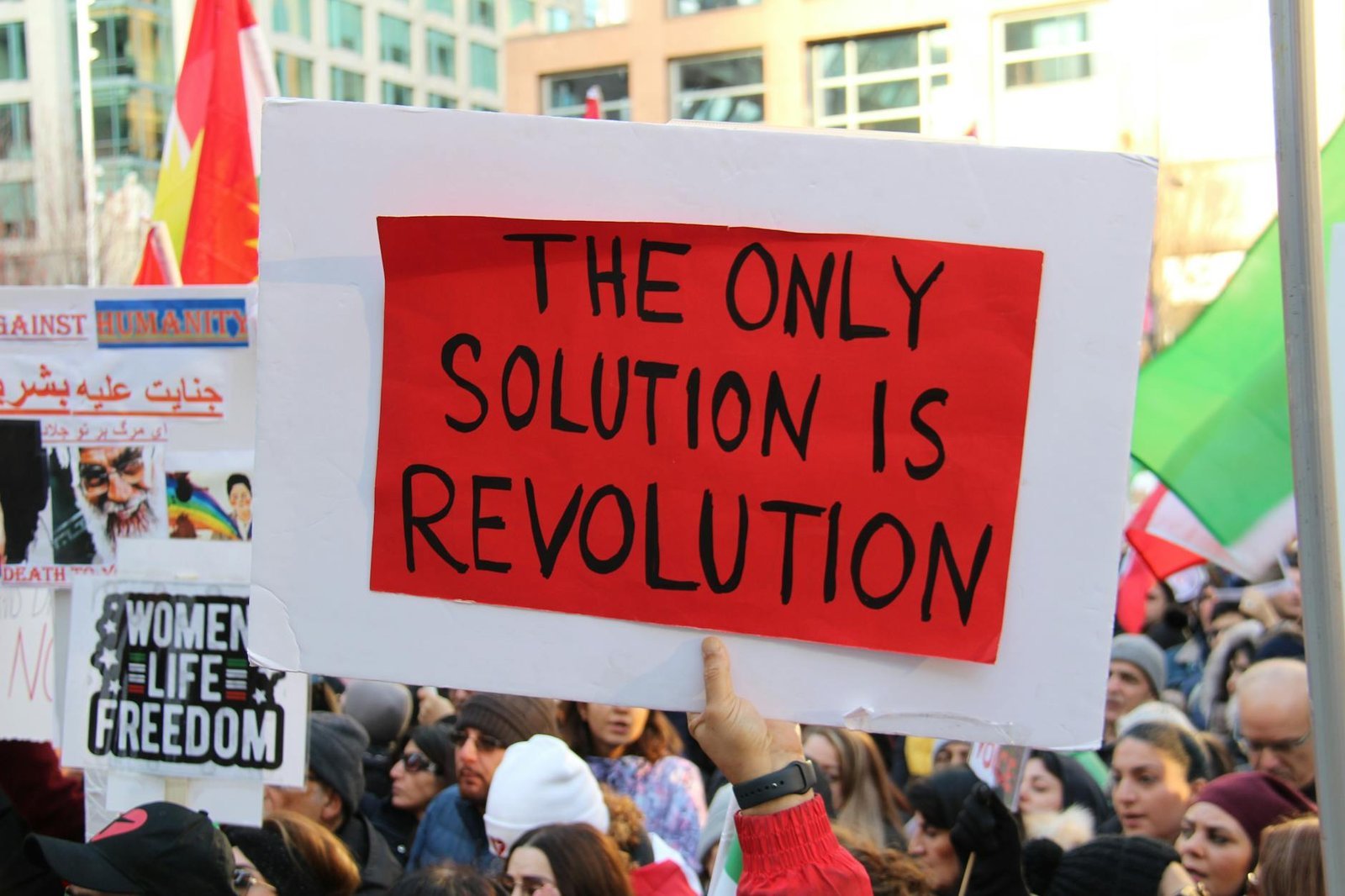 Photo by Sima Ghaffarzadeh - Pexels