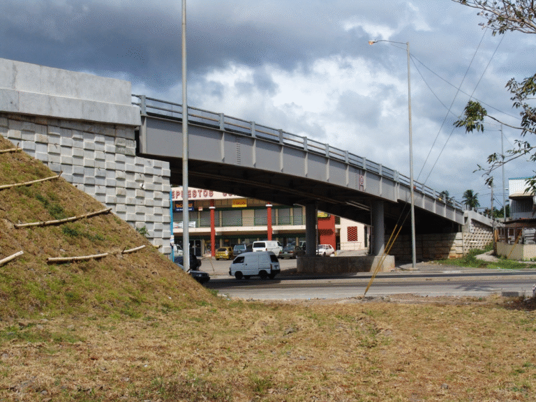 MOP prepara licitación para rehabilitar 12 puentes vehiculares en la capital por $11 millones
