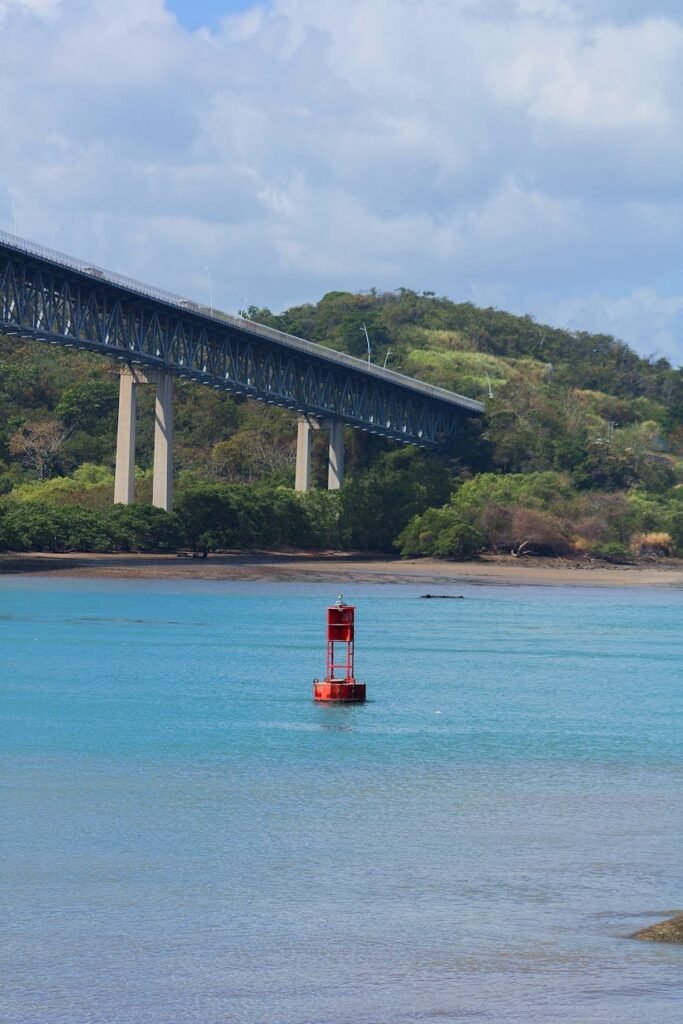 red buoy in water