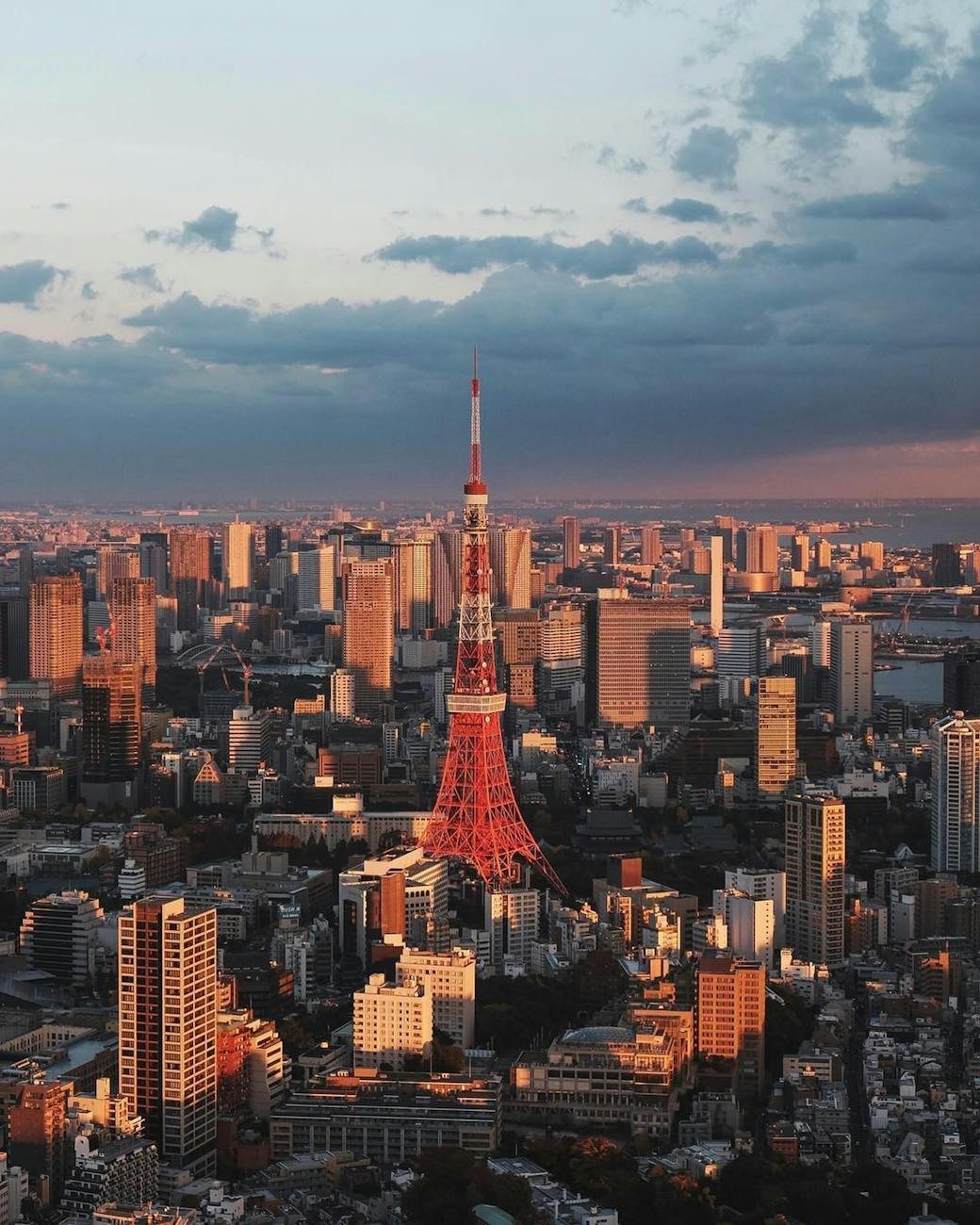aerial view of tokyo tower at sunset