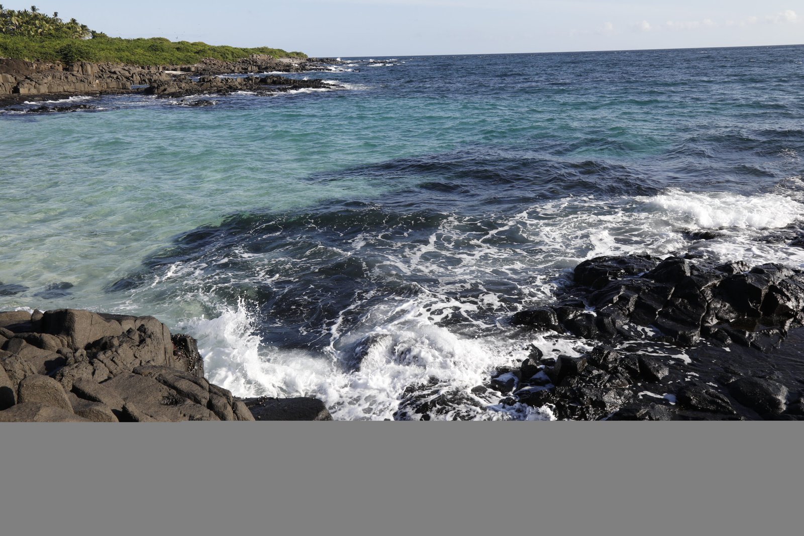 Panamá escucha a sus ballenas - Panamá y Centroamérica