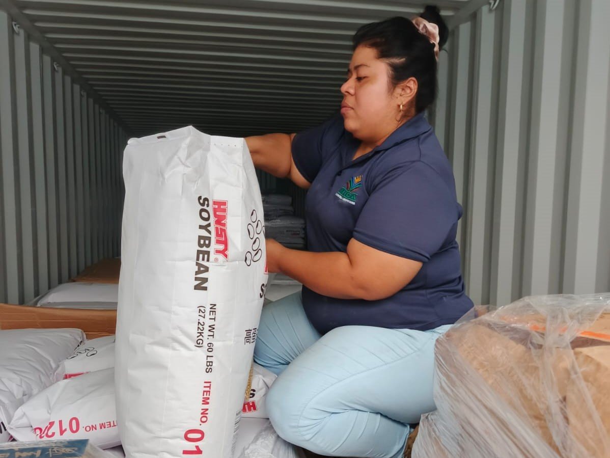 Panamá intercepta 779 plagas en sus fronteras en solo tres meses - Panamá y Centroamérica