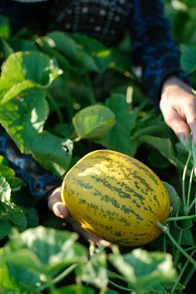 Agro apuesta por el empleo rural - Panamá y Centroamérica