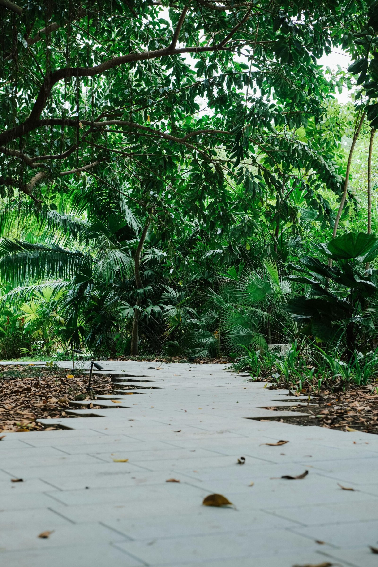 Panamá da un salto digital: Senacyt lanza plataforma clave para la ciencia y la innovación - Panamá y Centroamérica