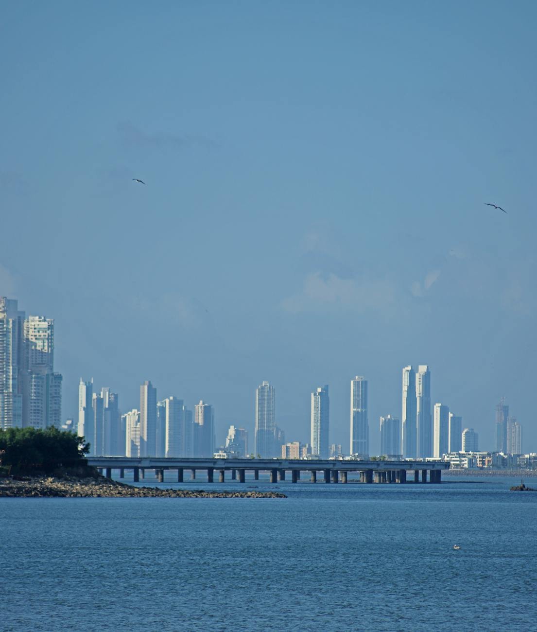 city skyline across body of water