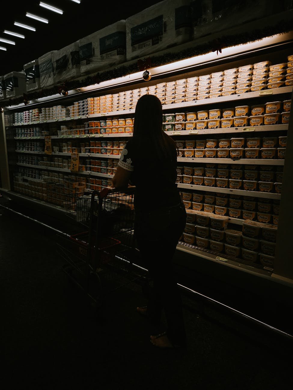 silhouette of woman shopping in grocery aisle