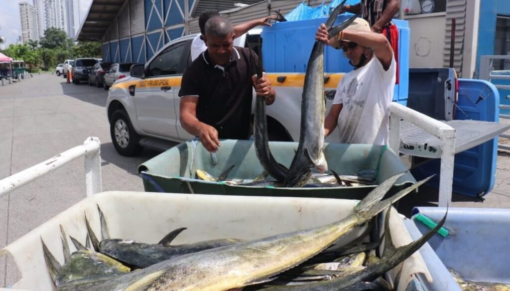 Veda para la pesca del dorado por dos meses - Panamá y Centroamérica