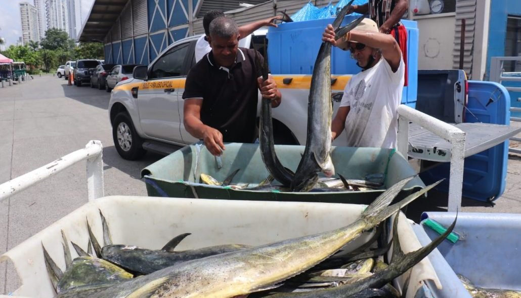 Veda para la pesca del dorado por dos meses - Panamá y Centroamérica