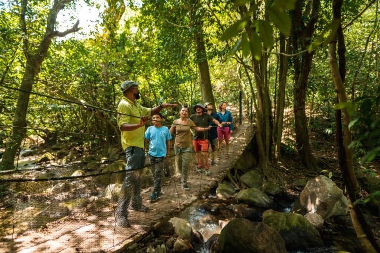 Abren la puerta a nueva generación de guías turísticos - Panamá y Centroamérica