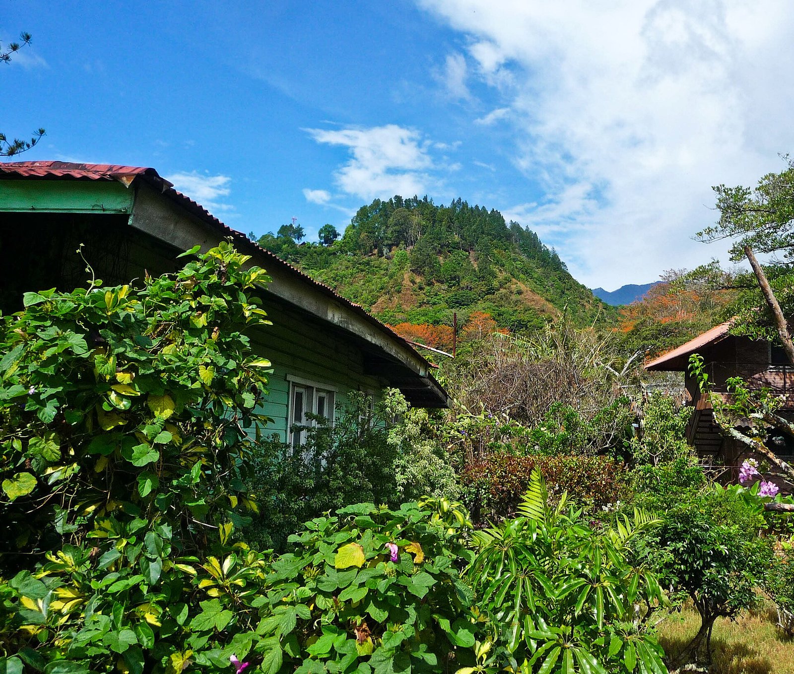 Paisaje de Boquete en la provincia de Chiriquí