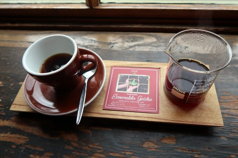 Preparación de una taza de café Geisha de Panamá