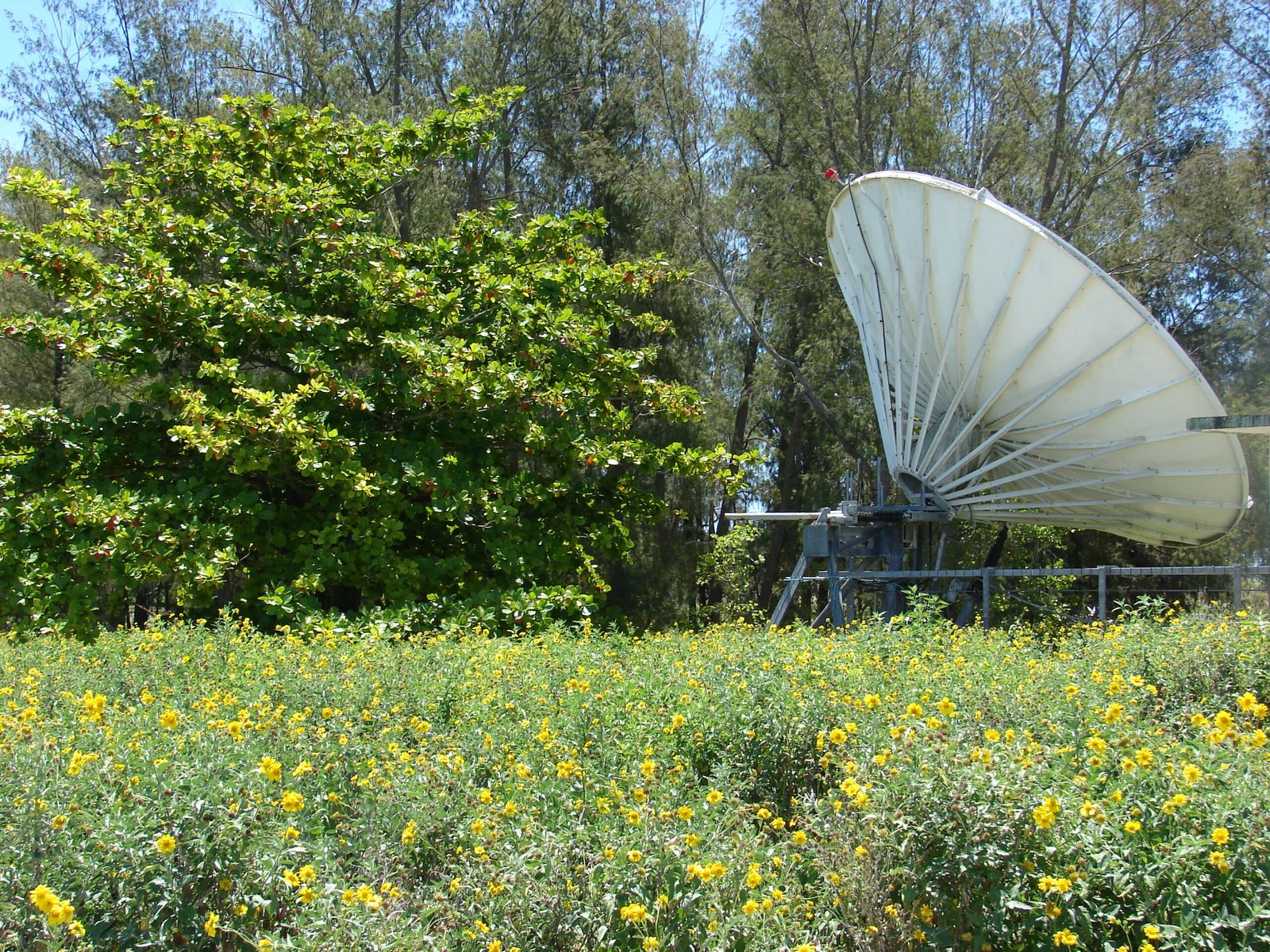 Antena satelital instalada en una isla del océano Pacífico
