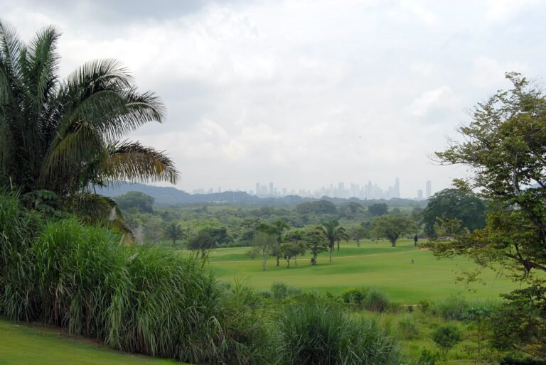 Perfil urbano de Ciudad de Panamá visto desde un área verde