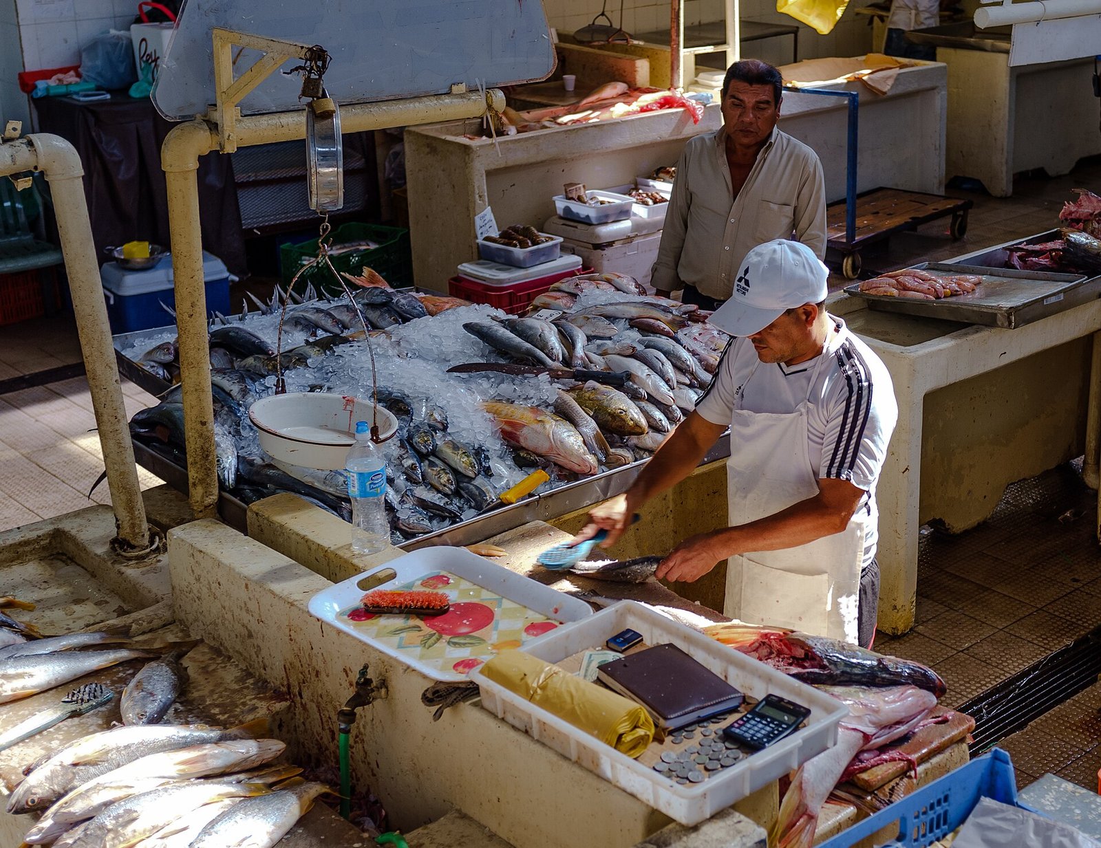 Comerciantes atienden puestos en el Mercado de Mariscos de Ciudad de Panamá