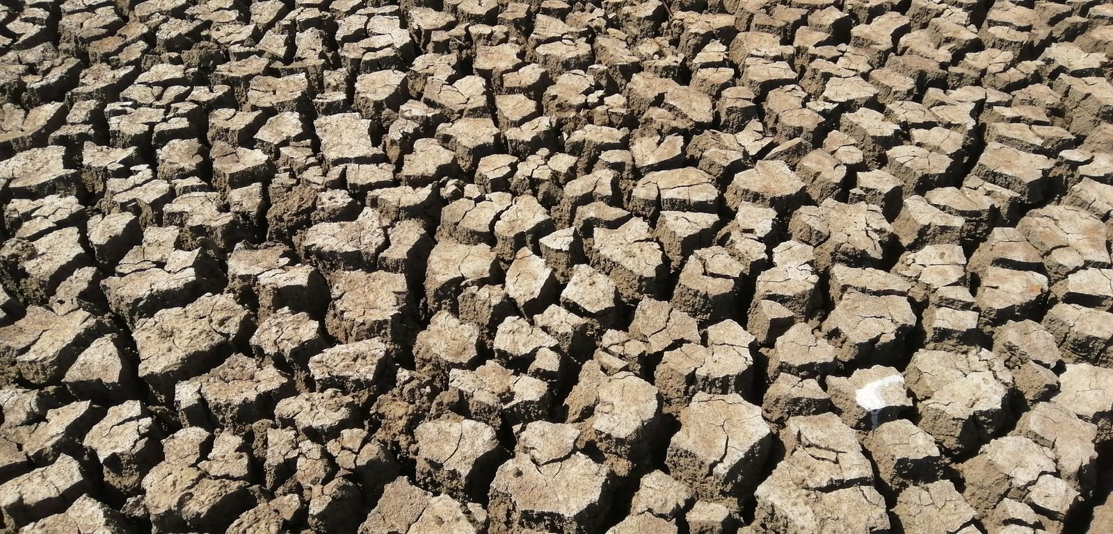 Suelo agrietado por una sequía
